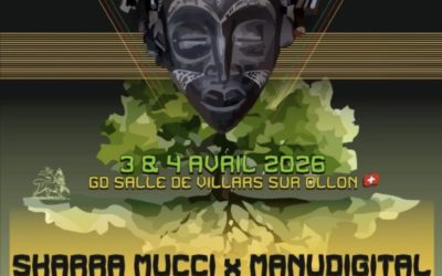 Roots Foundation Fest