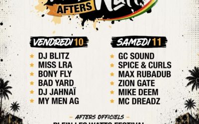 Plein les Watts Festival 2026 – After Party