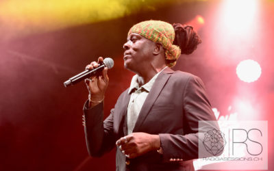 Plein Les Watts Festival 2026
